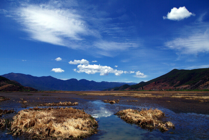 神湾人口_神湾菠萝(3)