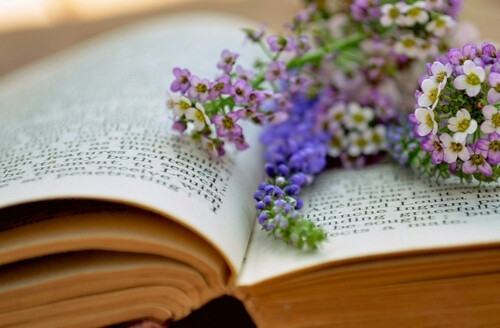 书与花朵