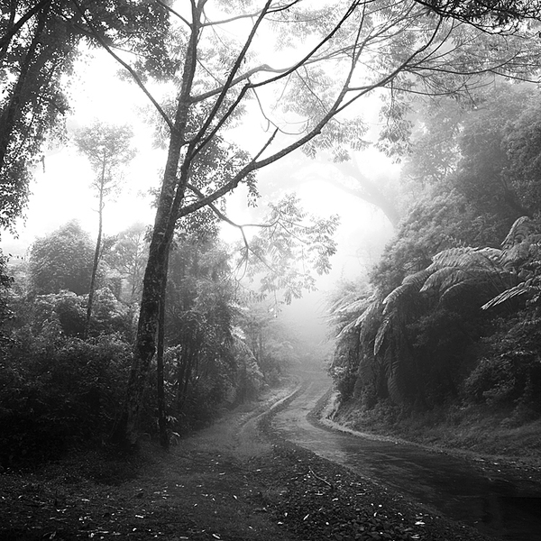 黑白风景:迷雾_摄影_环球网