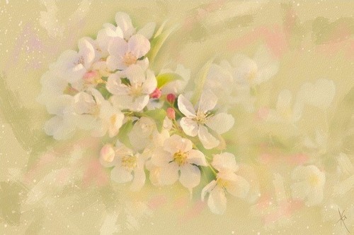 春暖花开--alberto guillen水彩画欣赏