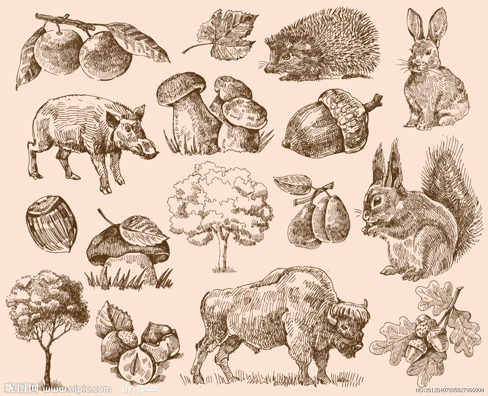 手绘动物植物矢量图_素描画钢笔画矢量_其