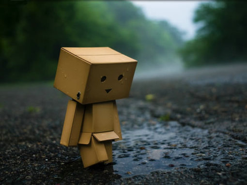 下雨天. 蚂蚁搬家了.