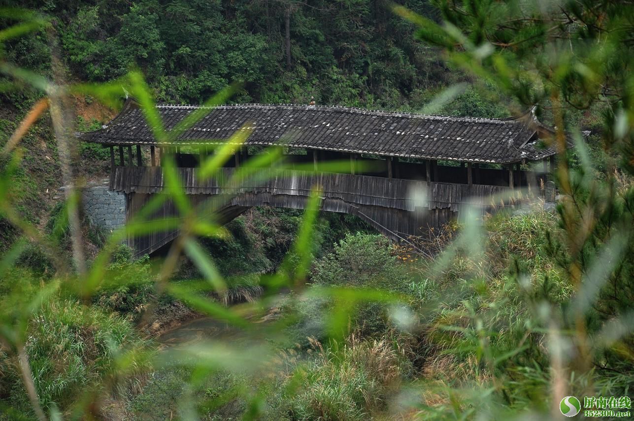 2012年6月16日 22:58   关注   清晏桥 - 熙岭乡 - 屏南在线论坛