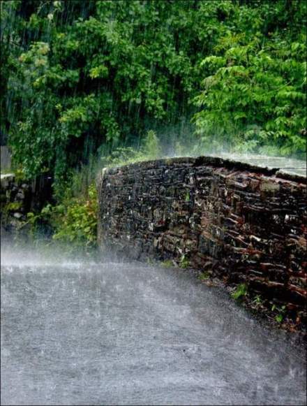 山窗五月寒如水,知是湖桥暮雨来.from苏州形象堂