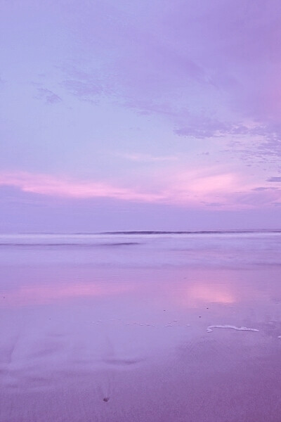 你坚果淡紫色的海洋么 好美