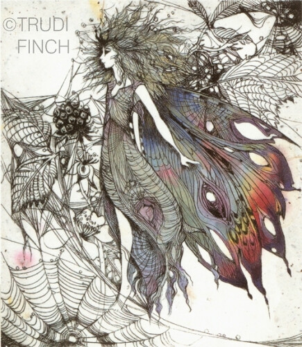 trudi finch 英国女插画师的小精灵