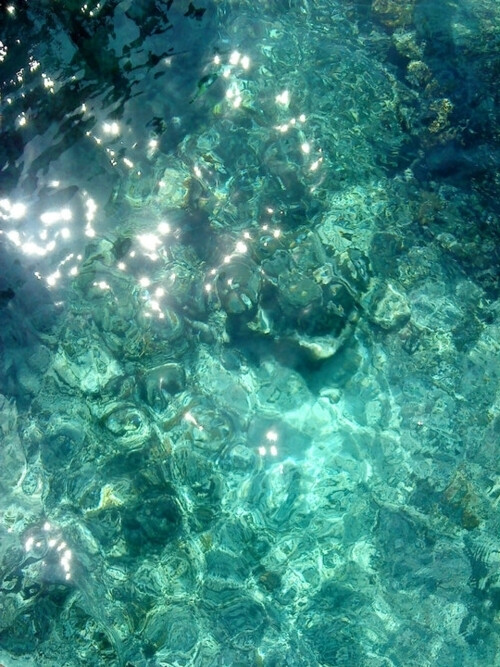 o,水,阳光,游泳,沙滩
