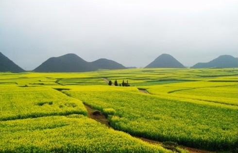 成都郊区