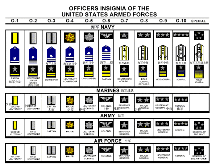 美国与纳粹德国军衔 军章 军袖标 大全