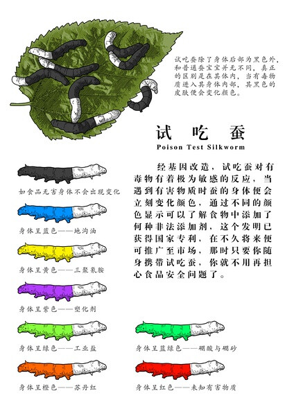 试吃蚕对有毒物有着极为敏感的反应,当遇到有害物质时蚕的身体便会