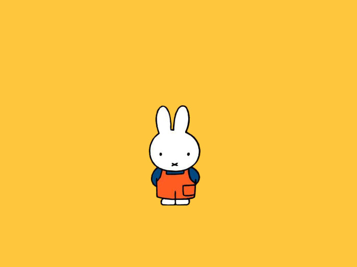 cute miffy