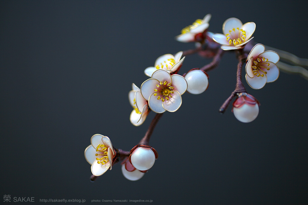 水晶花 