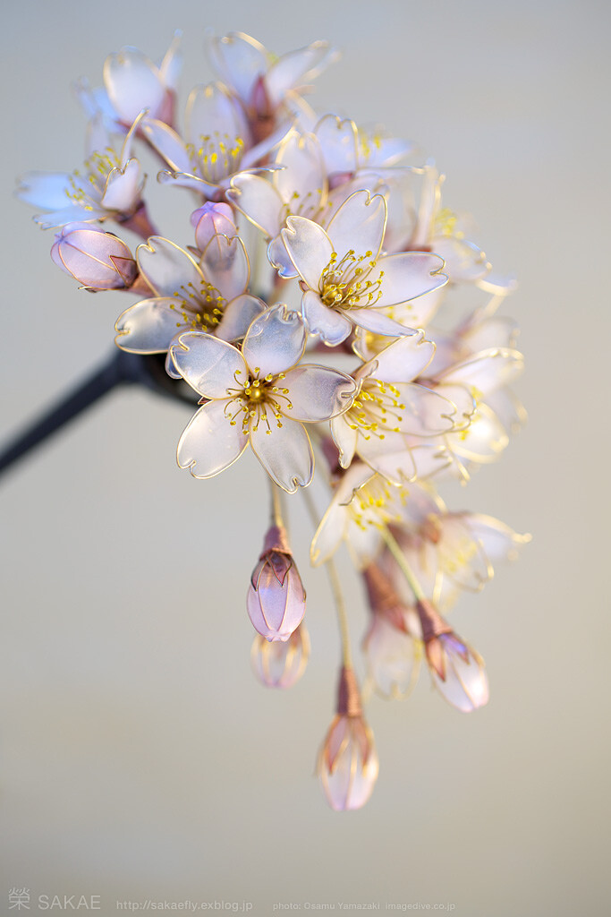 水晶花 