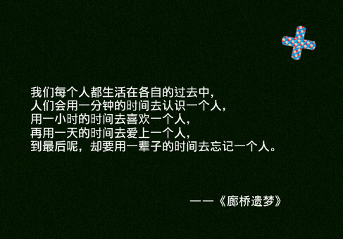 藏在电影里的温柔岁月.,电影台词,文字