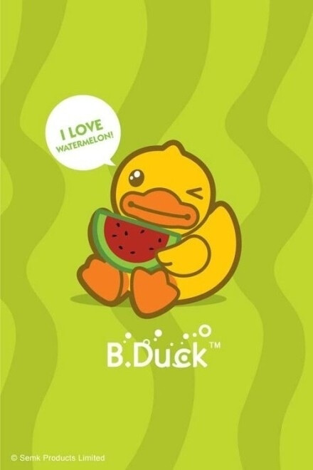 duck 壁纸