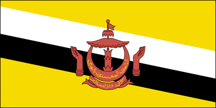 文莱达鲁萨兰国(brunei darussalam).