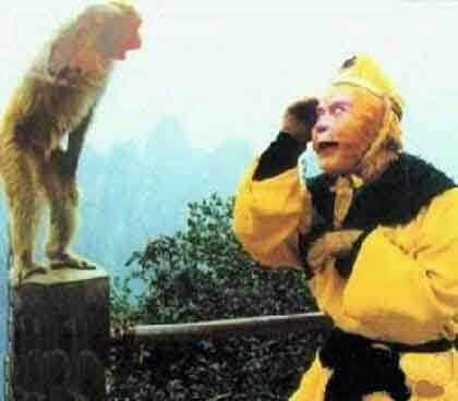 拍86版西游记时,山上小猴子给上了妆的六小龄童敬礼.猴王也回了一个