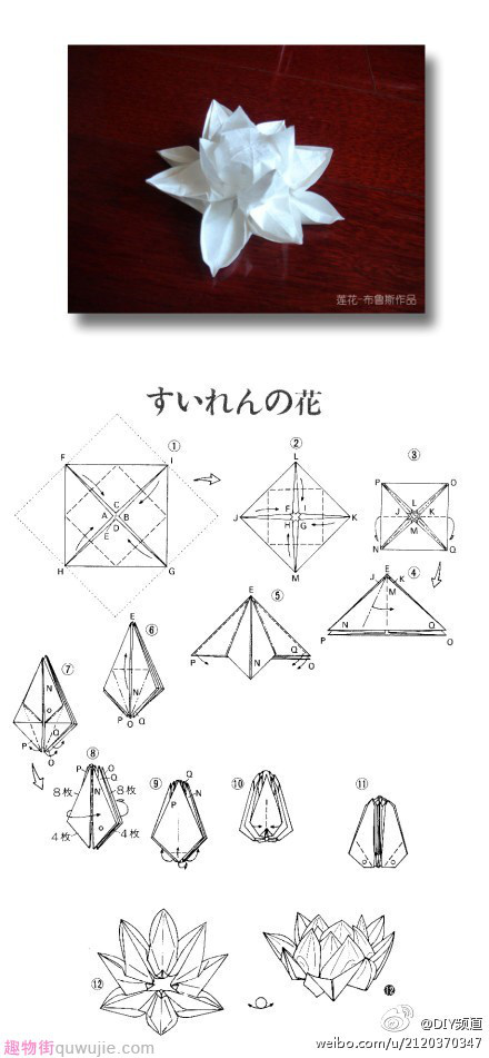 【莲花折纸教程】让我们的梦想如莲花一般绽.