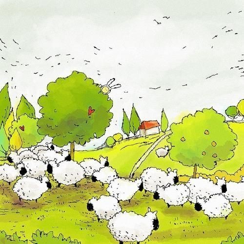 看到 很多很多黄色草地上的羊群 这是关于我的历险记,安东尼,安兔子