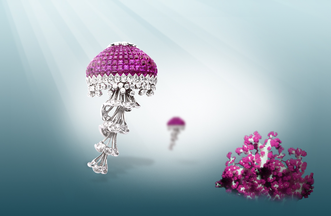 van cleef arpels 梵克雅宝潜入万顷碧波之下,探索阿特兰堤斯