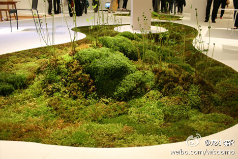 植物艺术家打造可爱又实用的室内草坪地毯 日本植物艺术家makoto