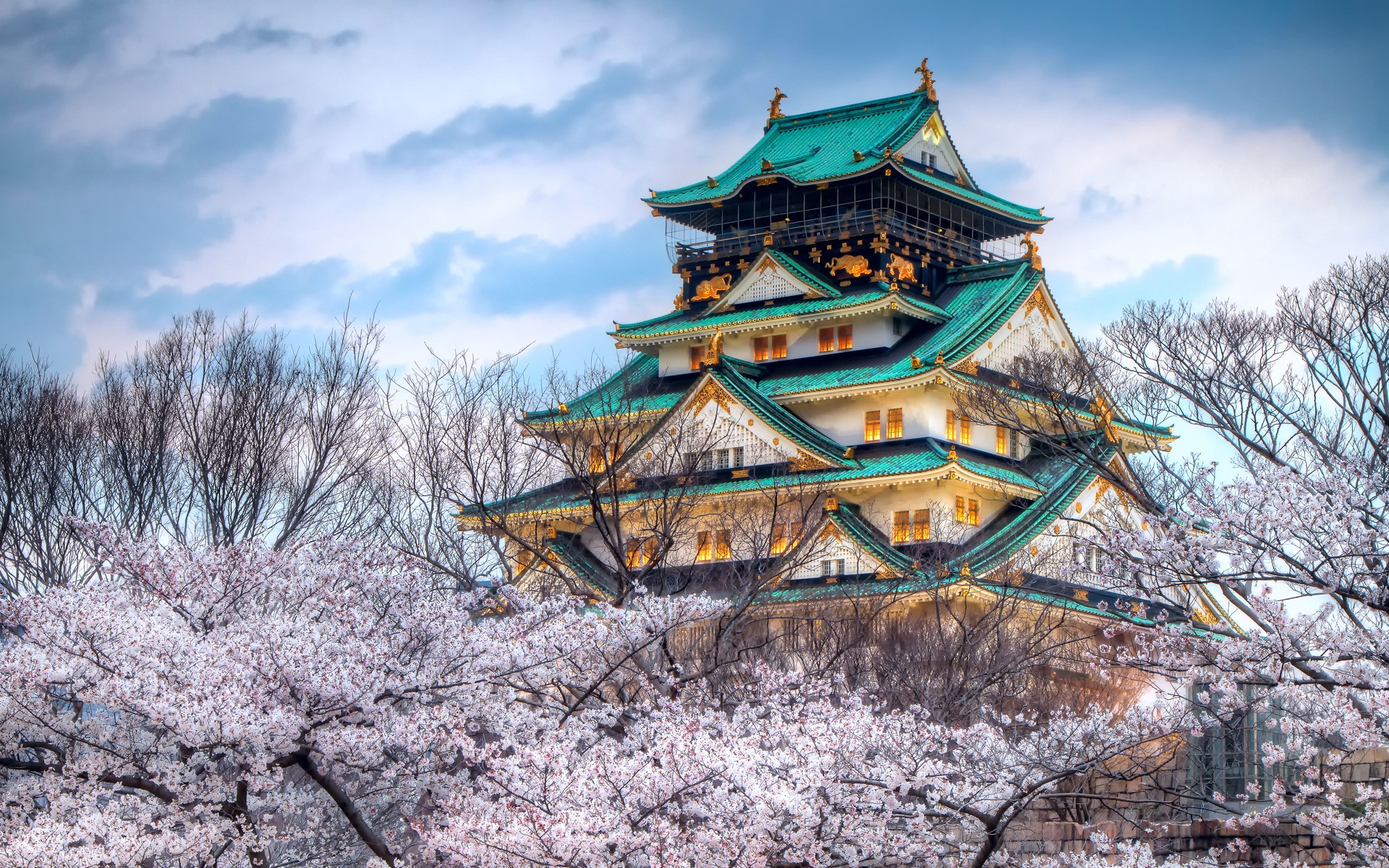 日本樱花季节的寺庙 壁纸 - 1920x1200