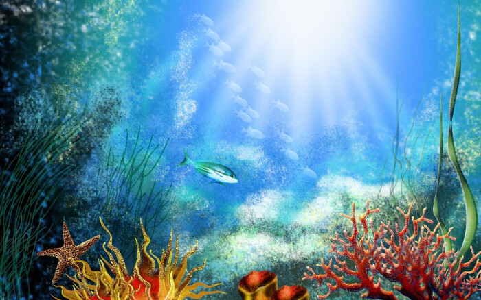 海底世界的珊瑚 壁纸 - 1920x1200