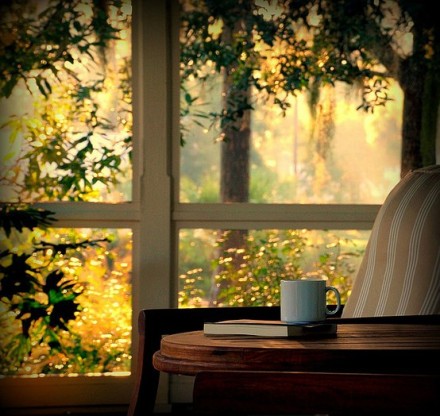 一杯茶,一本书,一扇窗,一个黄昏