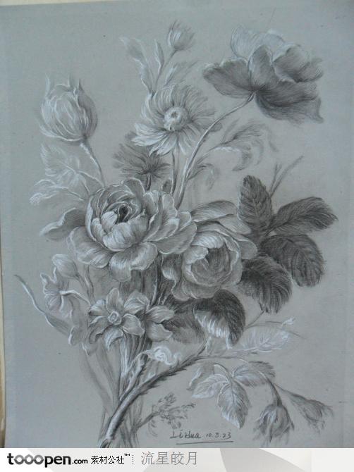 铅笔画素描花朵花卉综合素材图片素材
