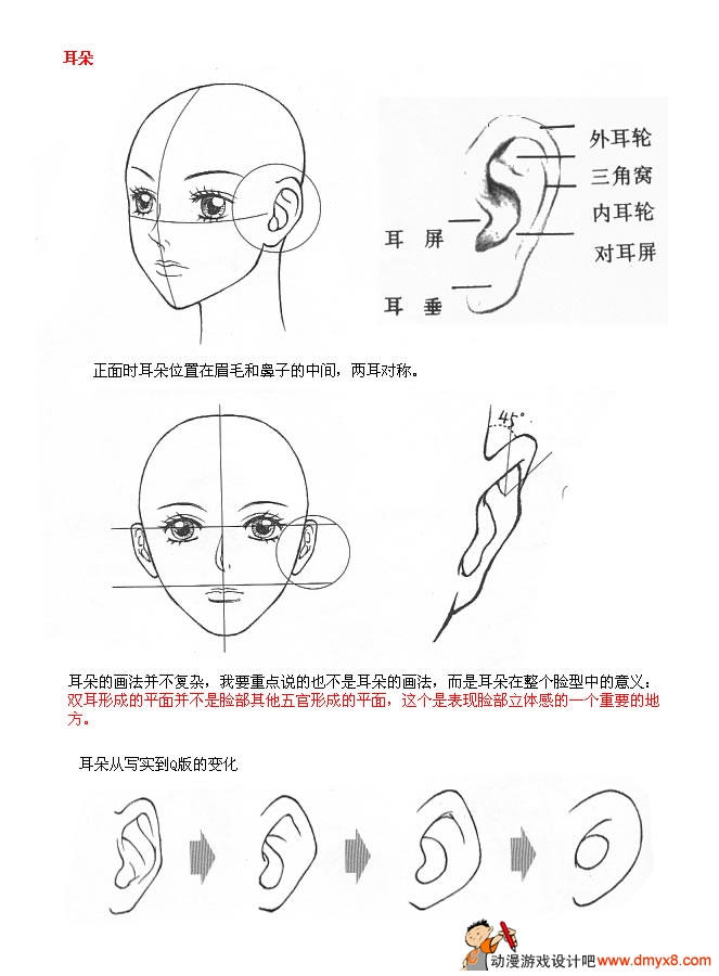 耳朵的画法