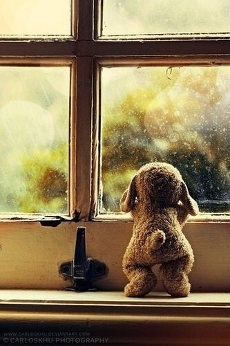 每天趴在窗户边等你回来,是我一天当中最快乐的一刻.