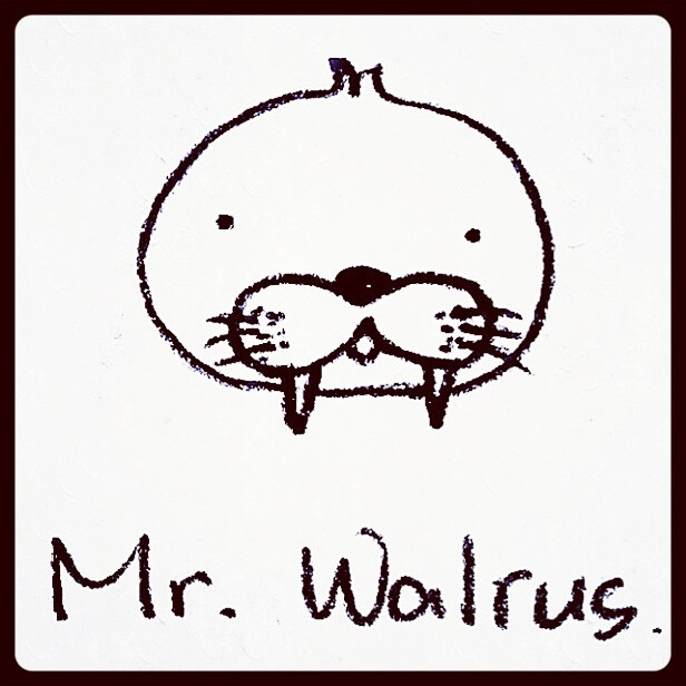 mr.walrus