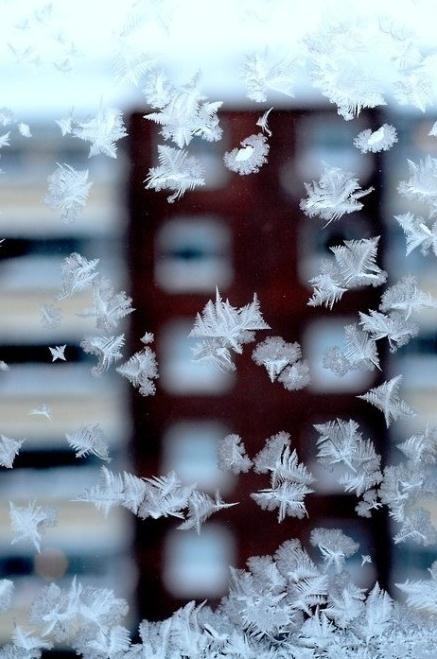 一秒飘落的雪花…你也喜欢雪吗