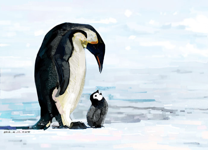 小企鹅和麻麻,互相对视的温馨瞬间.
