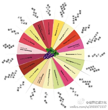 法国葡萄酒香气图谱,一张图帮你记清法国19种常见葡萄品种的主要香味