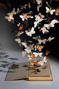 活动形式 与大学城合作,为大学生艺术作品提供免费展示场地,展示作品