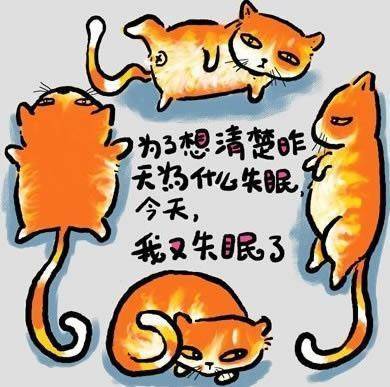 猫猫语录. 我又失眠了.