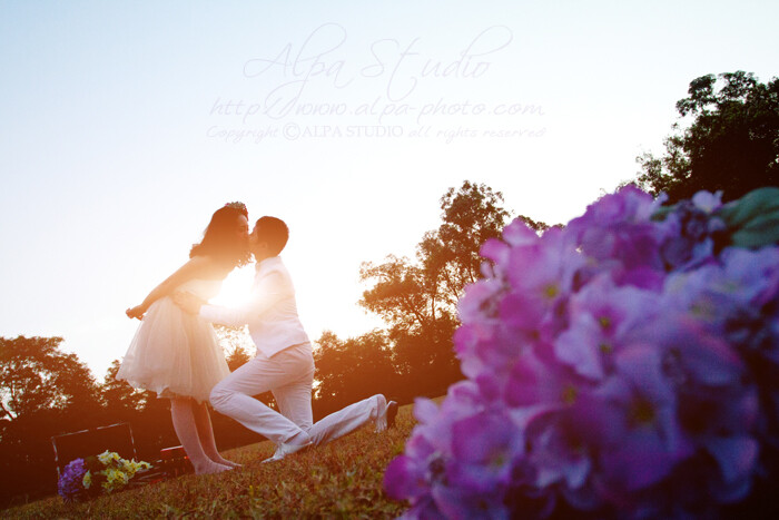 成都婚纱摄影工作室【ALPA STUDIO艾帕影像