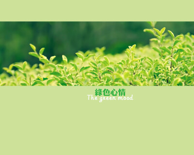 横屏壁纸