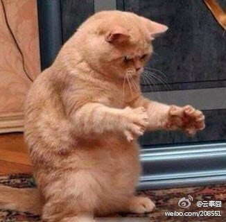 吓死我了,.囧