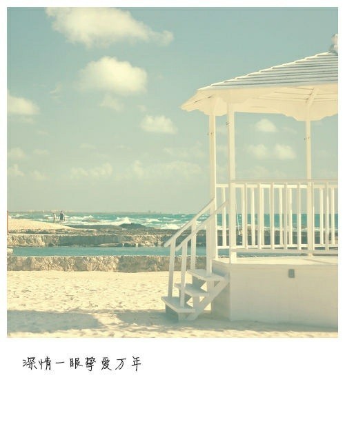 深情一眼挚爱万年