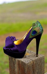 婚鞋控##婚鞋#今年很流行的,孔雀花修饰的婚鞋