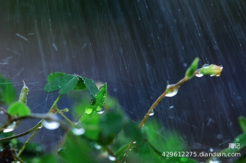 下雨的天 雨滴打在身上的感觉 呼吸着新鲜的空气 享受这清新的大自然