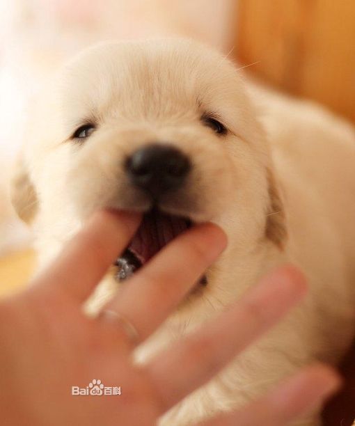 纪录片==《魅力纪录》栏目将播出由英国独立