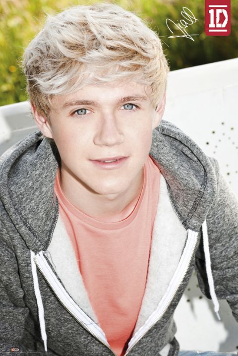 one direction niall horan 昵称:奶儿,萌奶,nialler