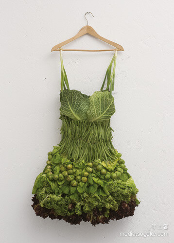 蔬菜瓜果狂想曲 -德国女艺术家sarah illenberger创意作品.