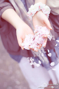 人生就如手中的花瓣一样,充满了幸福,温馨,伤感,离别.