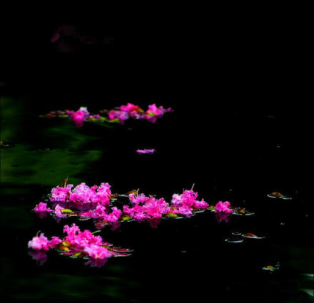 花自飘零水自流.