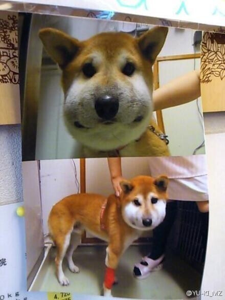 20130216225547_yHsjw.thumb.700_0.jpeg
