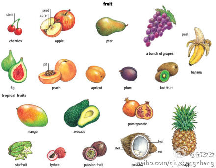 【图说英文—水果词汇,就该这么学